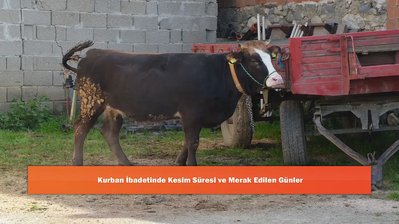 Kurban İbadetinde Kesim Süresi ve Merak Edilen Günler
