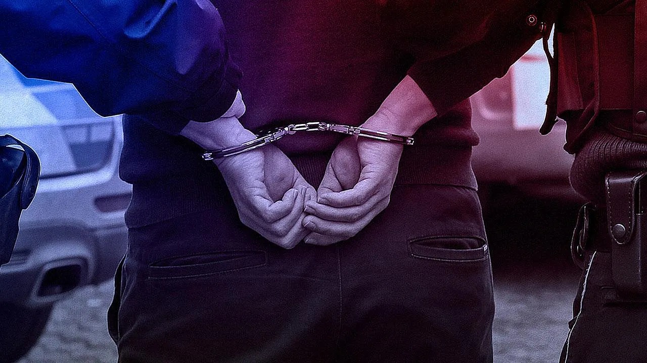 İzmir'de Çöpe Atılan 33 Kedinin Sorumlusu Cezaevine Gönderildi
