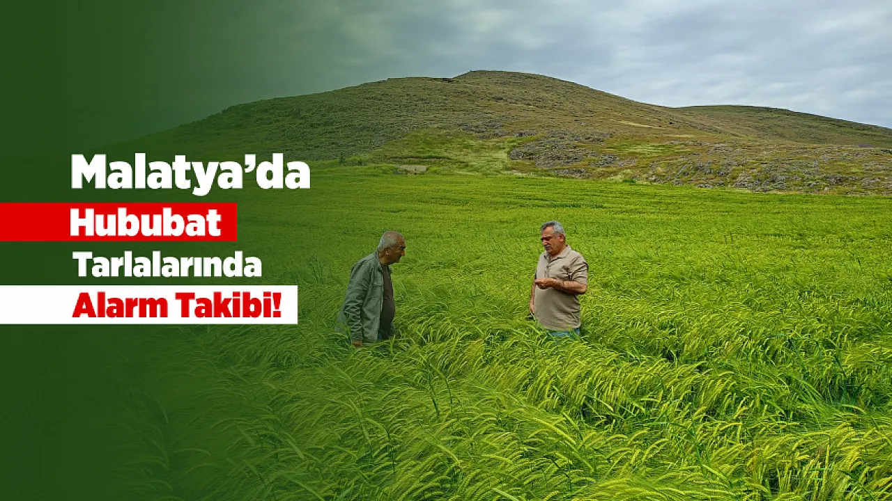 Malatya'da Verim Kaybına Karşı Tarlalarda Yoğun Kontrol!