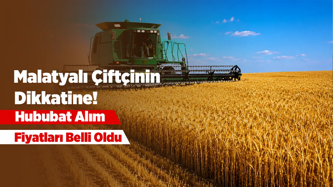 Malatyalı Üreticiler Dikkat! TMO 2026 Hububat Alım Fiyatlarını Açıkladı