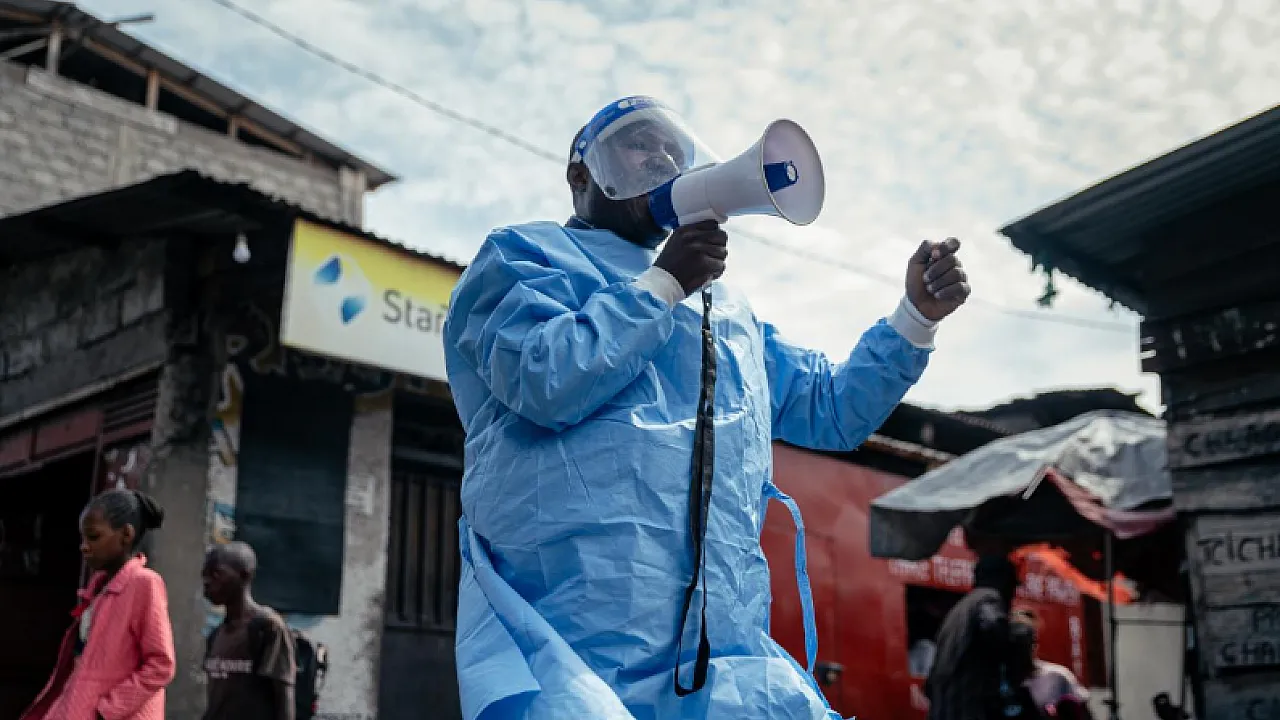 Teknoloji İçin Kesilen Ormanlar, Ebola Riskini Büyütüyor!