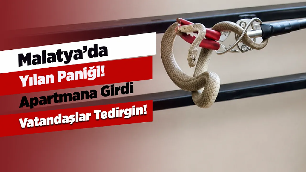 Malatya'da Yılanlar Apartman Boşluklarına Kadar Girdi