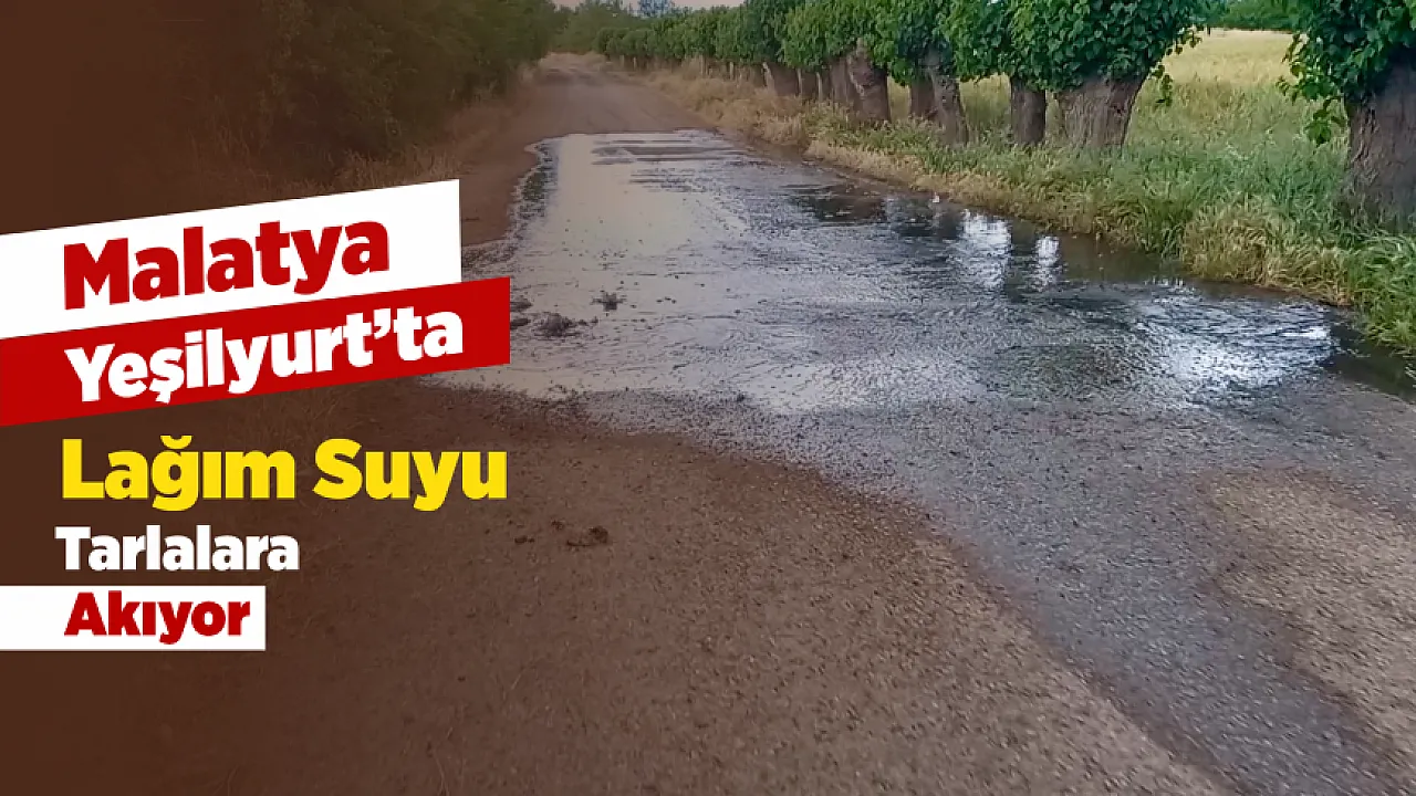 Malatya'da Çiftçiler Endişeli! Atık Su Sorununun Üretimi Etkiliyor