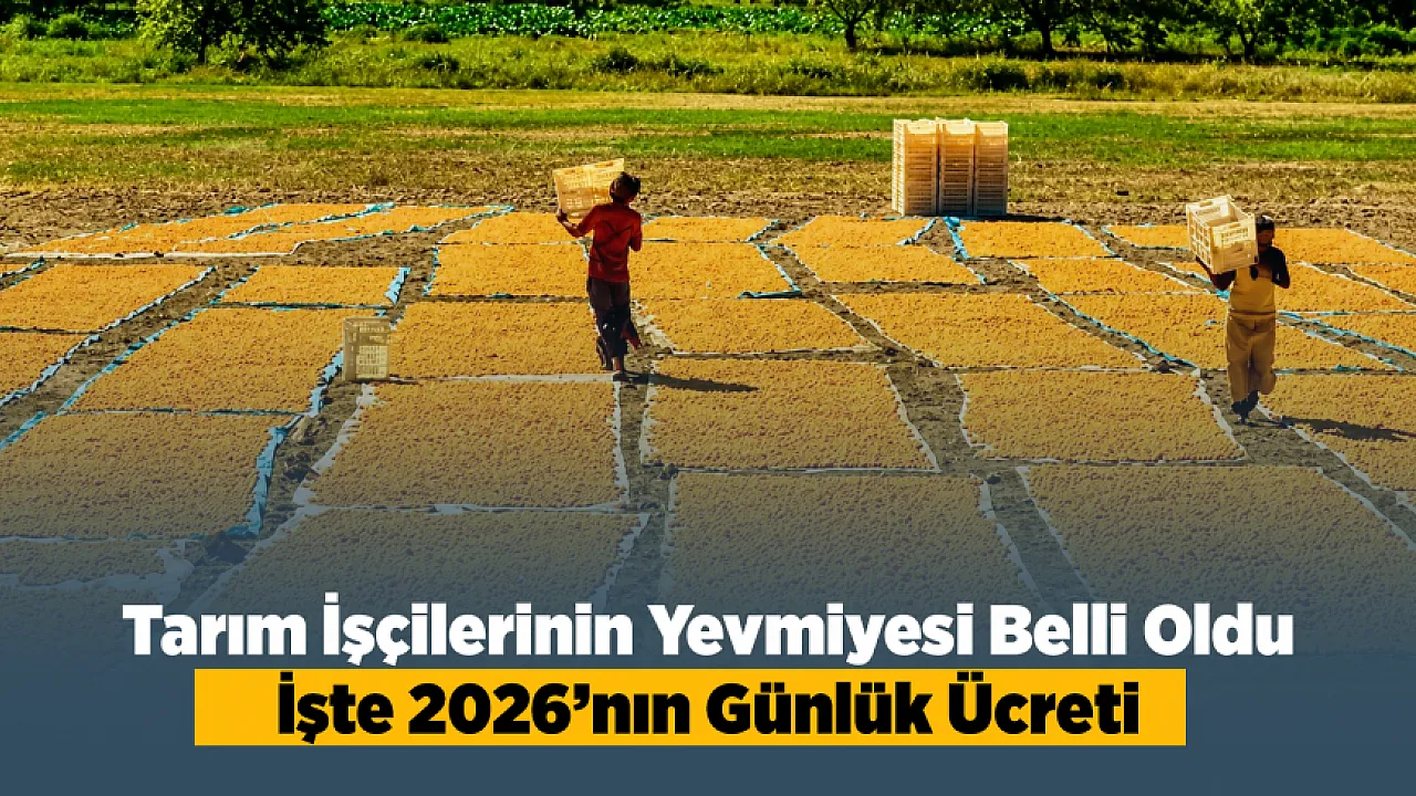 Malatya'da Kayısı Hasadı Öncesi Beklenen Açıklama Geldi! İşçi Ücretleri Netleşti