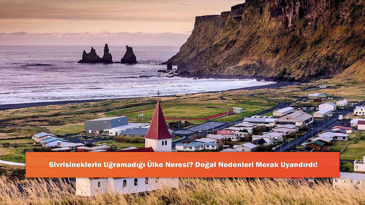 Sivrisineklerin Uğramadığı Ülke Neresi? Doğal Nedenleri Merak Uyandırdı!