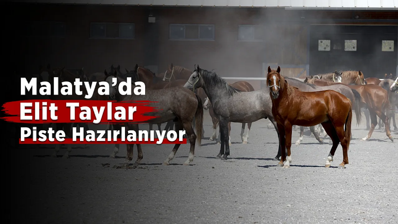 Malatya'da Şampiyonların Yeni Nesli Pistlere Hazırlanıyor!