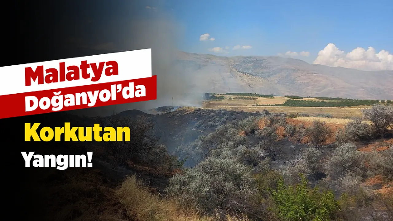 Malatya Doğanyol'da 300 Dönümlük Alan Kül Oldu! Alevler Yerleşim Yerlerine Dayandı
