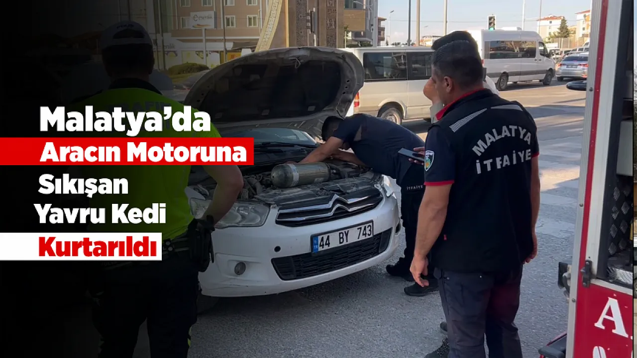 Malatya'da Otomobilde Mahsur Kalan Yavru Kedi Kurtarıldı