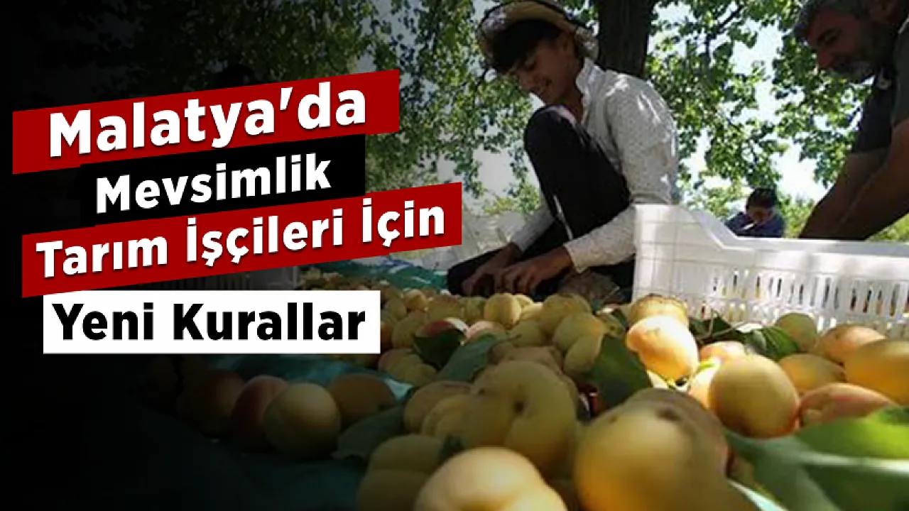 Tarım Sezonu Öncesi Malatya'da Geçici Barınma Merkezlerinde Yeni Genelge!