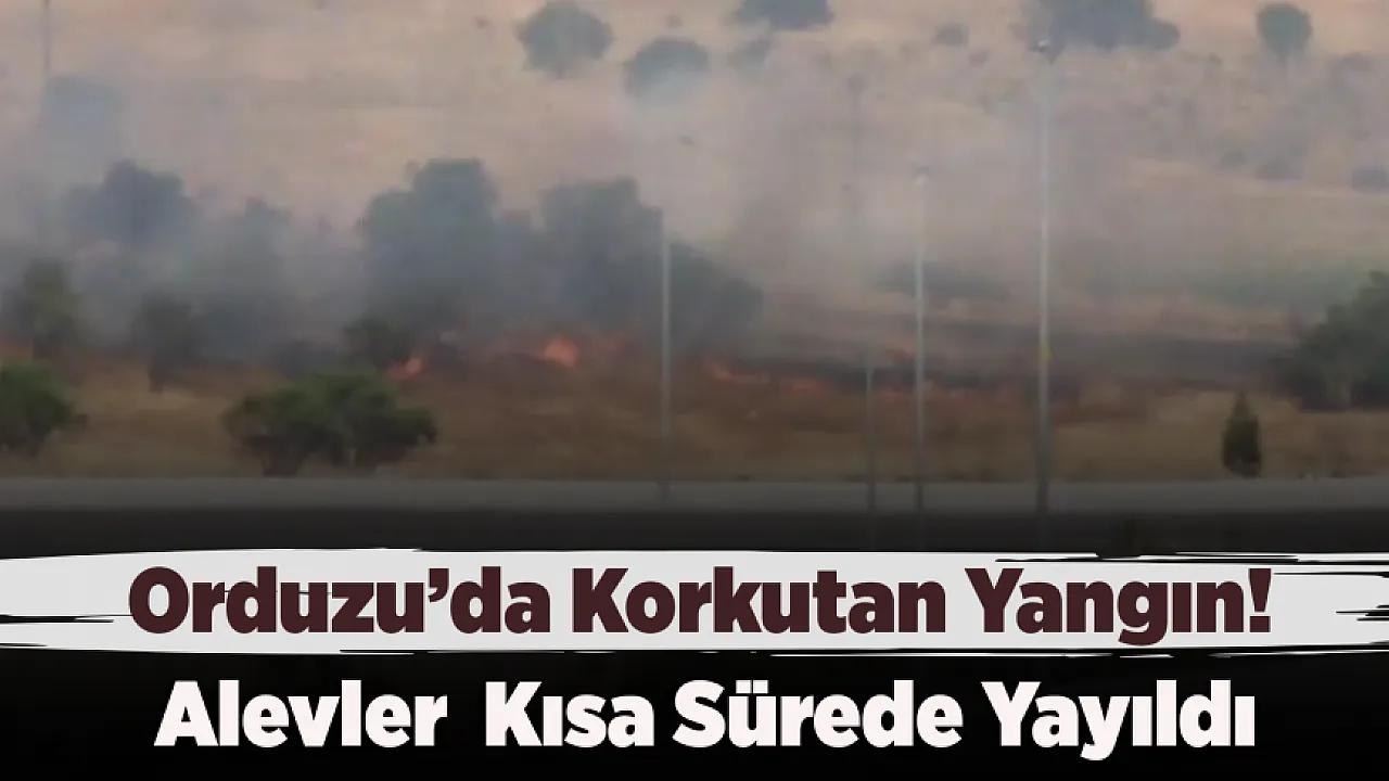 Malatya'da Yangın Evlere Dakikalar Kala Durduruldu
