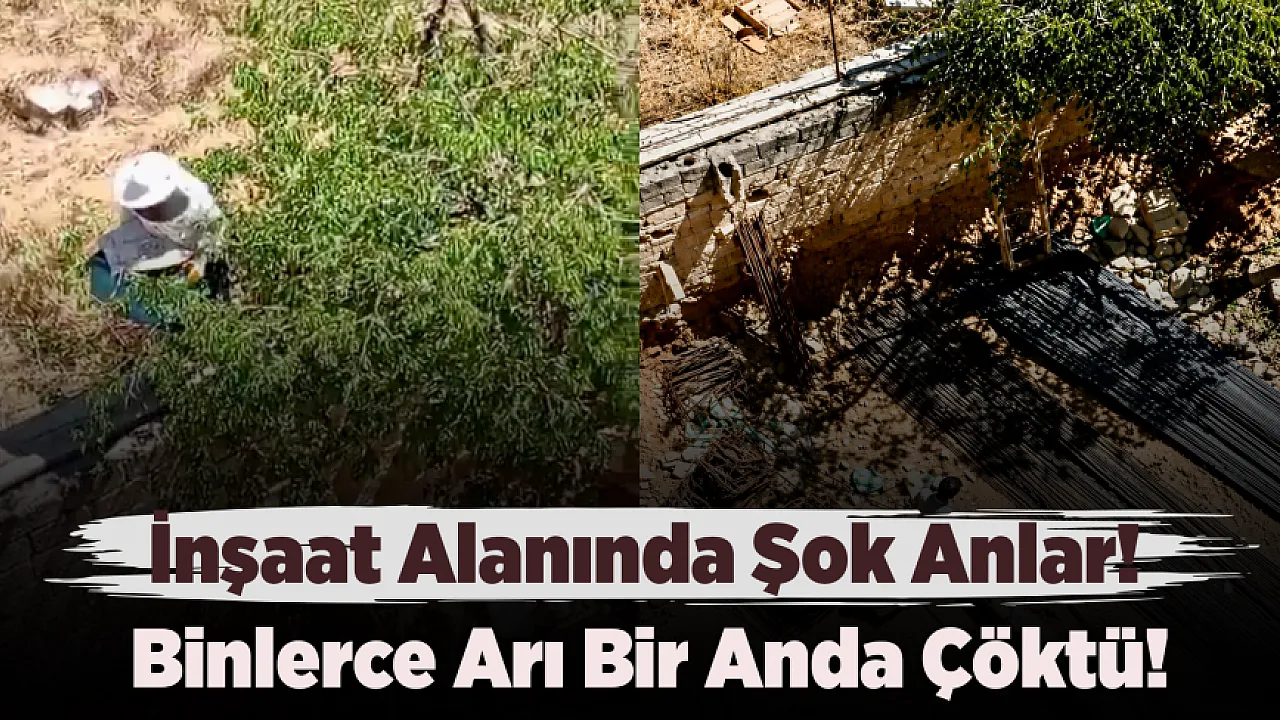 Malatya'da Arı Sürüsü Nedeniyle Şantiye Tahliye Edildi
