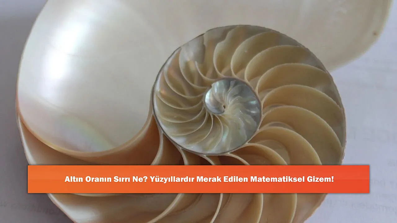 Altın Oranın Sırrı Ne? Yüzyıllardır Merak Edilen Matematiksel Gizem!