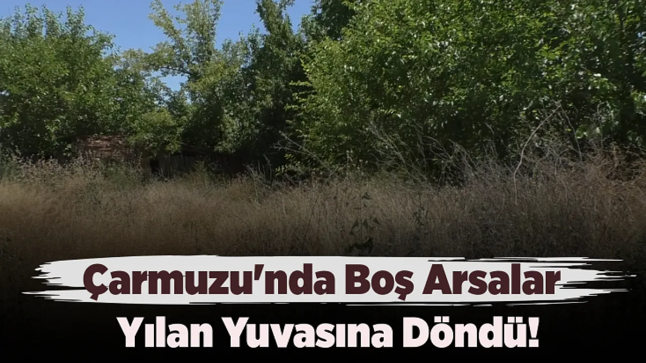 Çarmuzu'nda Yılan Alarmı! Mahalleli Tedirgin