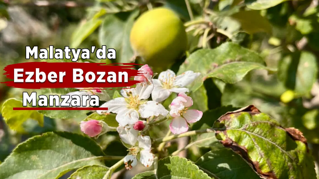 Malatya'da Görülmemiş Doğa Olayı