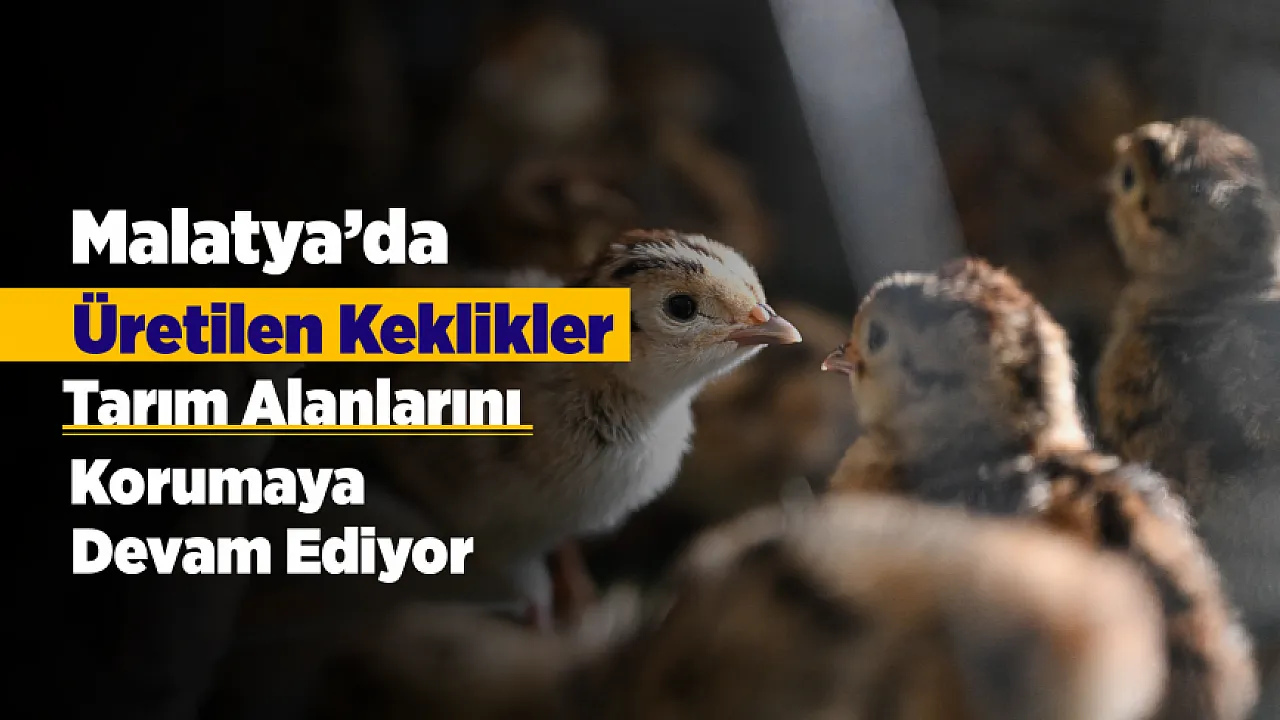 Kimyasal Yerine Doğal Çözüm! Malatya'dan Zararlılarla Mücadeleye Destek