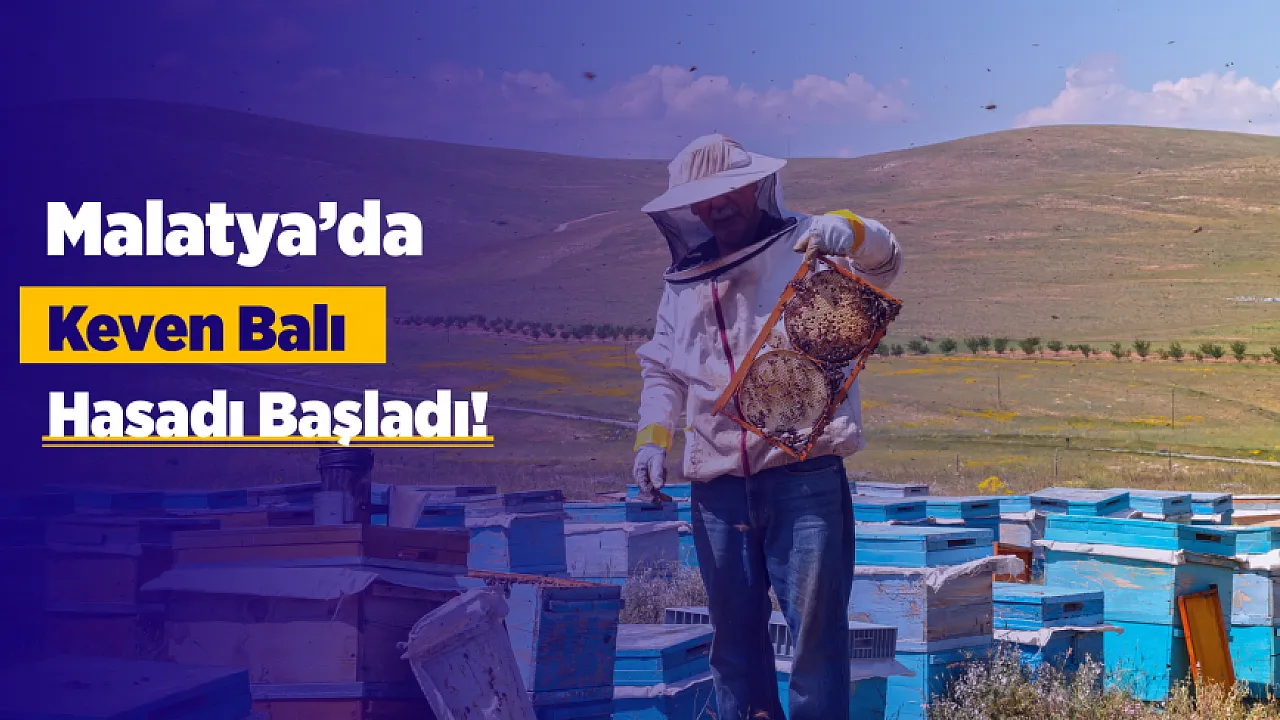 Malatya'nın Meşhur Keven Balında Hasat Heyecanı! Rekolte Beklentisi Yükseldi