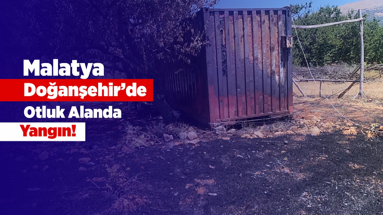Doğanşehir'de Ot Yangını Paniği! Alevler Konteynerlere Sıçradı