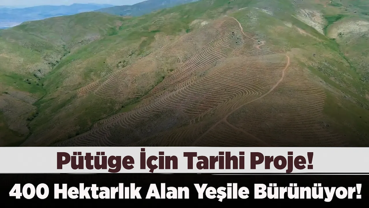Pütürge'de Geleceğe Nefes! Dev Ağaçlandırma Çalışması Sürüyor