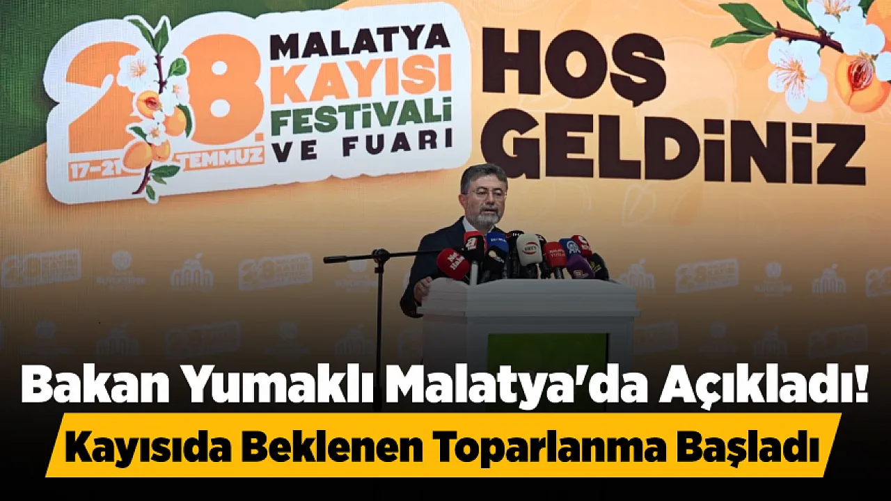 Malatya Kayısısı İçin Güzel Haber! Hasat Sonrası Beklentiler Yükseldi