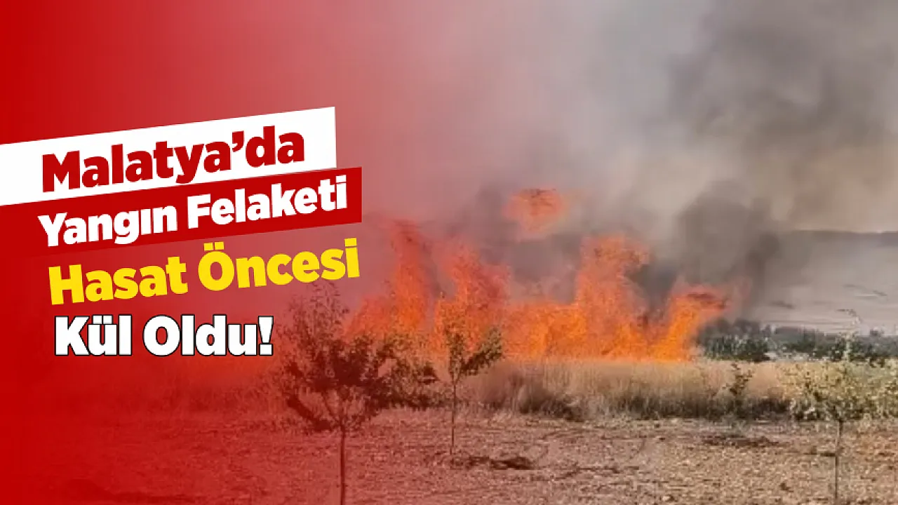 Malatya'da Alevler Buğday Tarlasını Yuttu