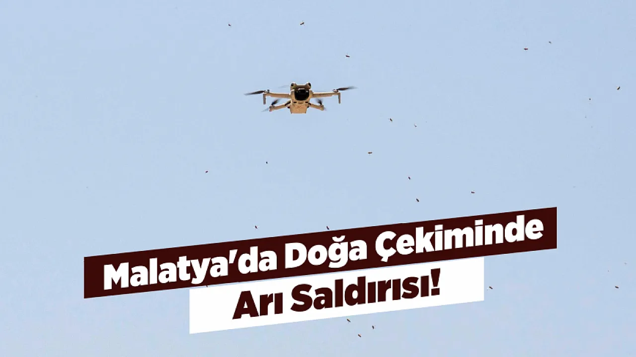 Malatya'da Kelebek Peşindeki Fotoğrafçılar Arı Saldırısıyla Karşılaştı