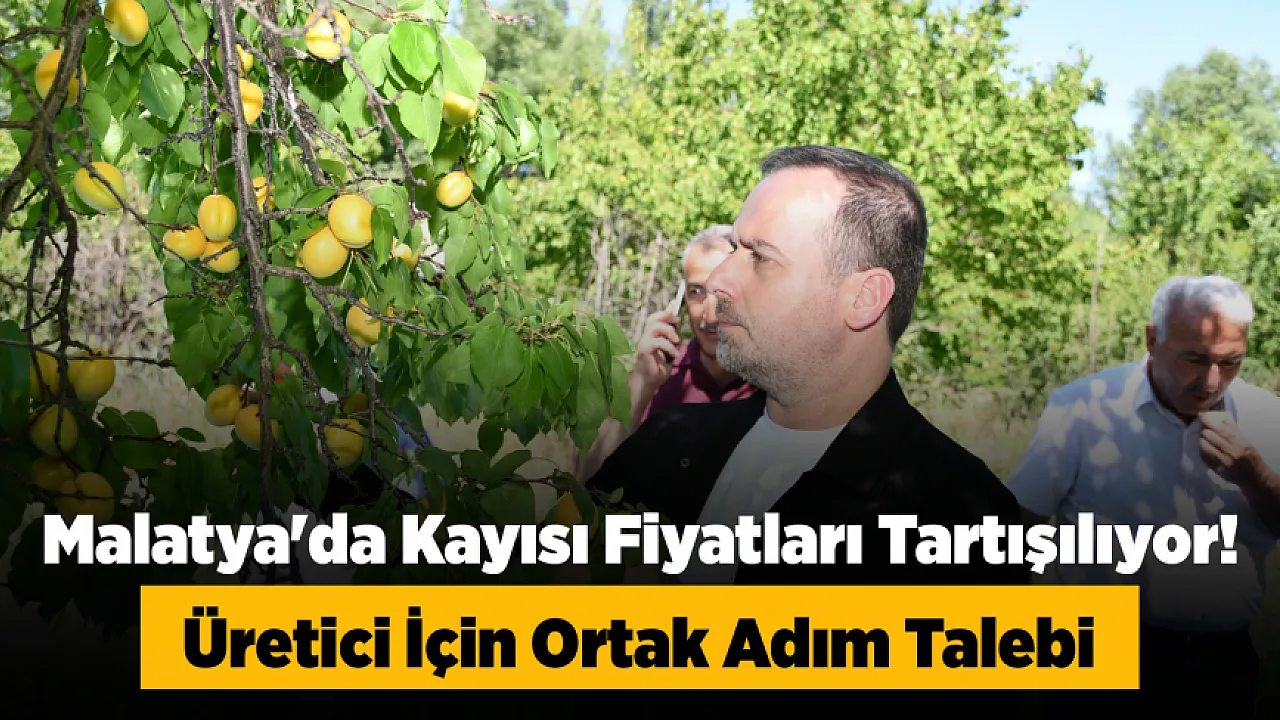 Malatya'da Kayısı Alarmı! Fiyatlardaki Düşüş İçin Acil Çağrı