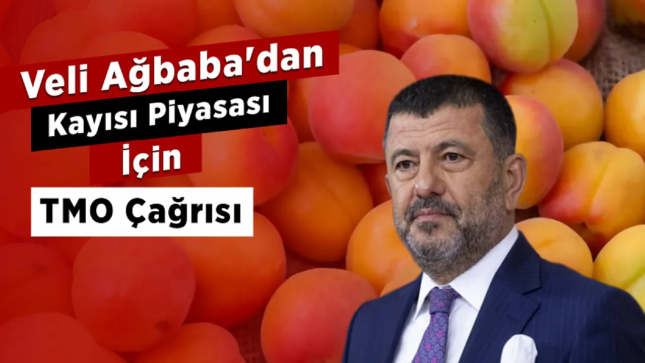 Malatya'da Kayısı Hasadı Başladı, Fiyat Tartışması Büyüdü! Ağbaba'dan Açıklama