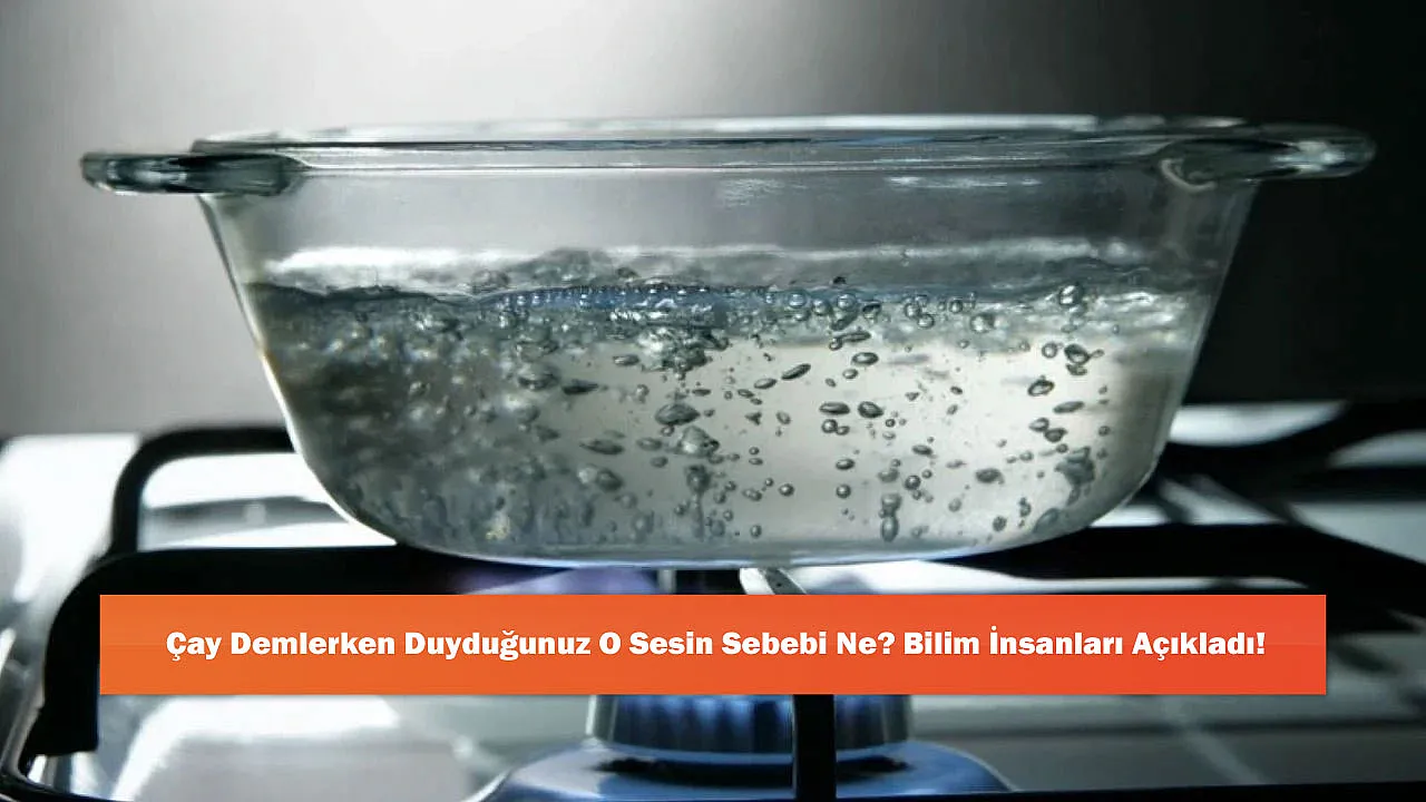 Çay Demlerken Duyduğunuz O Sesin Sebebi Ne? Bilim İnsanları Açıkladı!