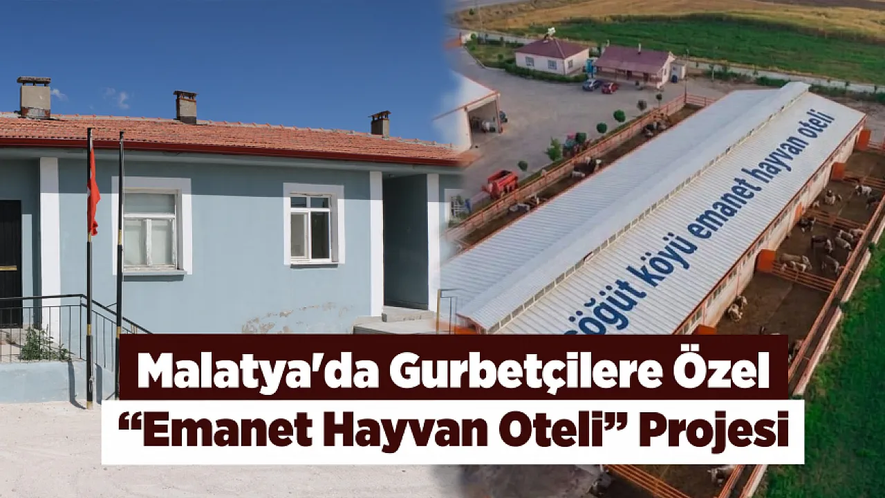 Malatya'da Gurbetçilere Kolaylık! Hayvanlarını Satmadan Şehirlerine Dönebilecekler