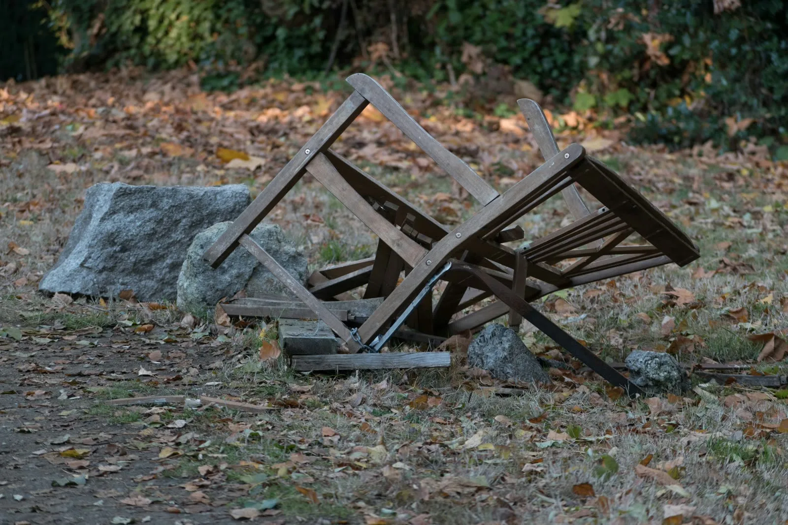 Bildirime eklenen fotoğraf