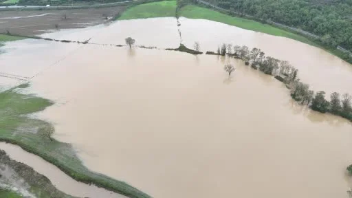 Beykoz Riva Deresi taştı, tarla sular altında kaldı