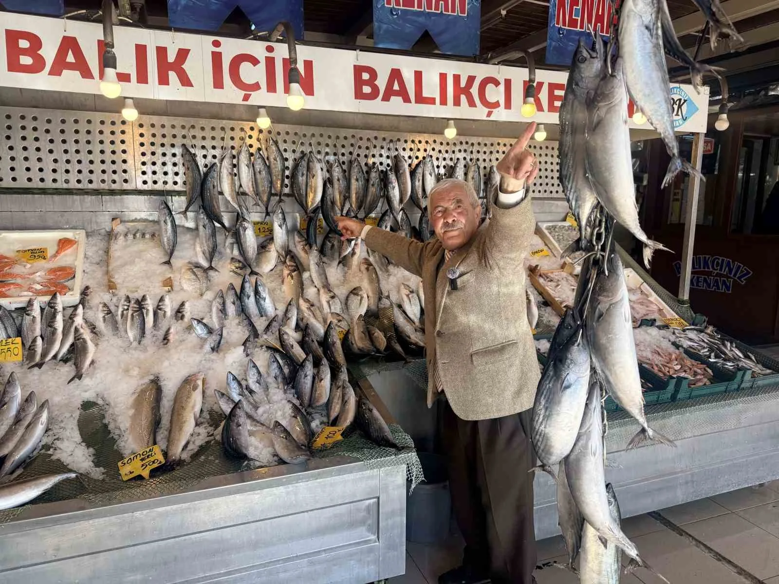 Palamutta bereket, kilosu 100 TLl’ye düştü