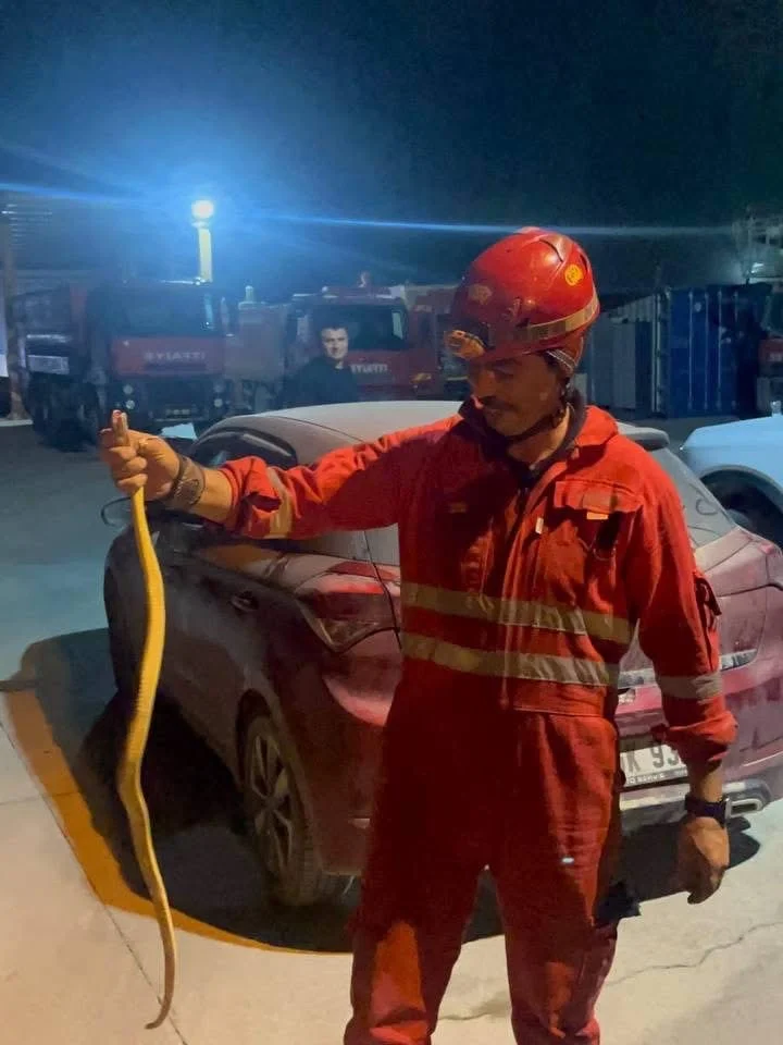 Antakya’da aracın içinde görülen yılan yakalandı