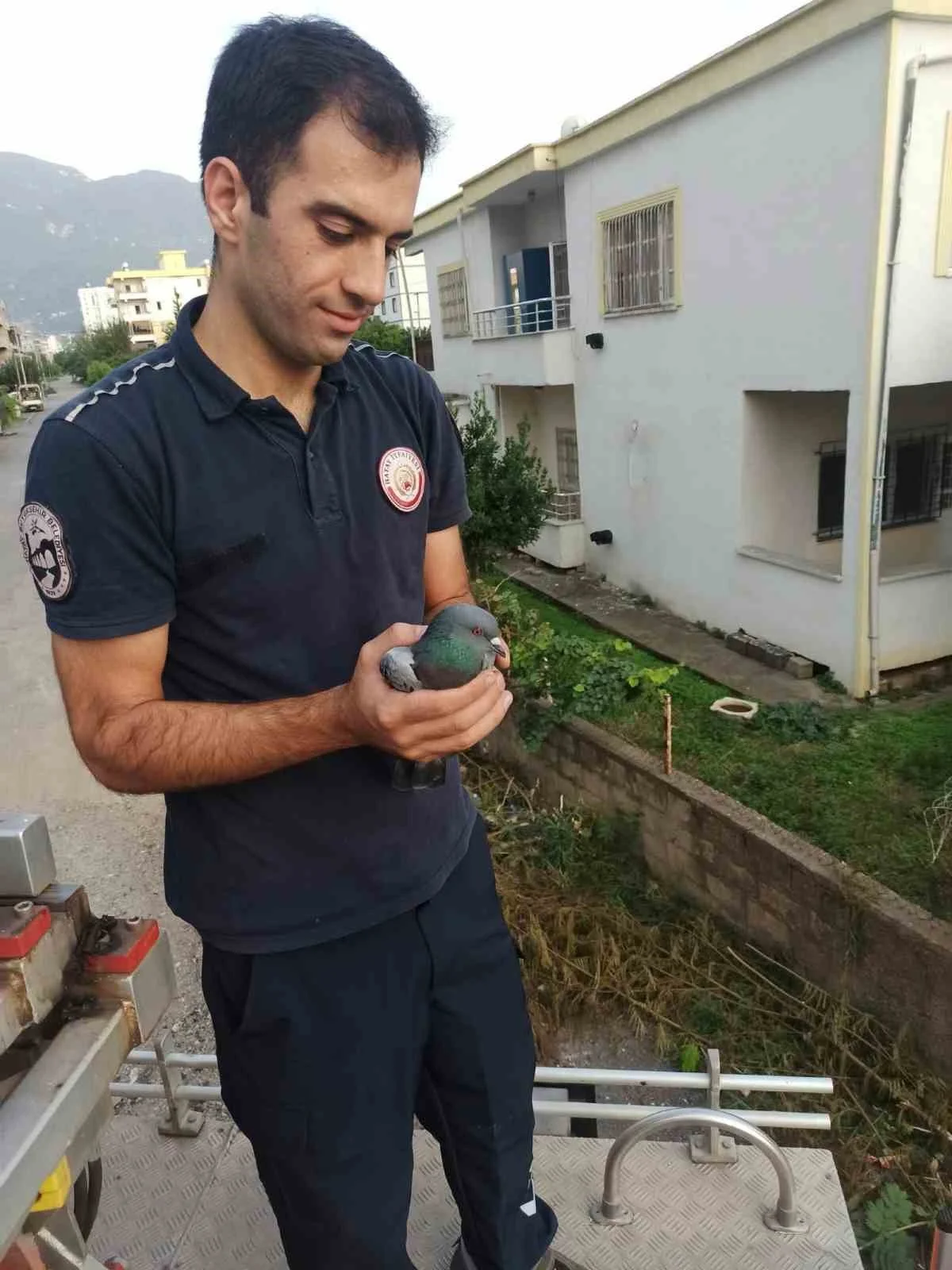 Payas’ta balkon boşluğunda mahsur kalan güvercin kurtarıldı