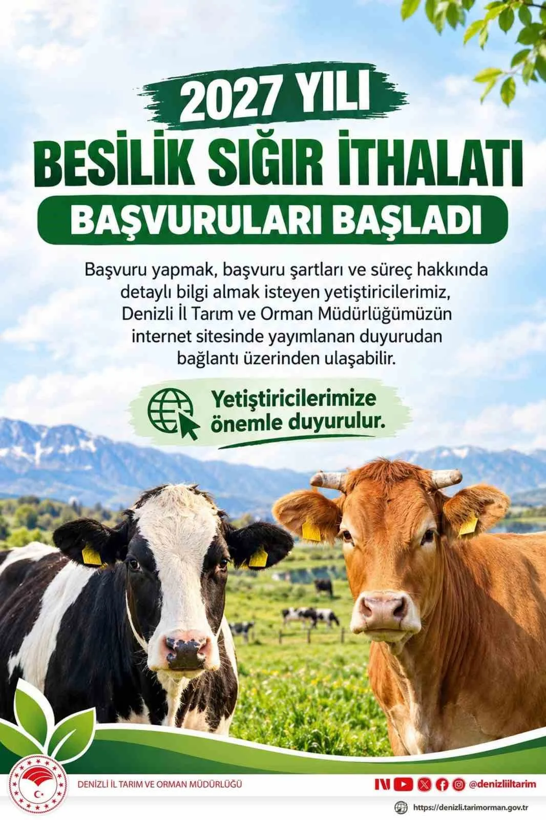 Denizli’de 2027 yılı besilik sığır ithalatı başvuruları başladı