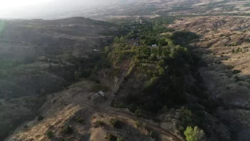 Beş dönümlük dağı tıbbi aromatik bitki bahçesine çevirdi