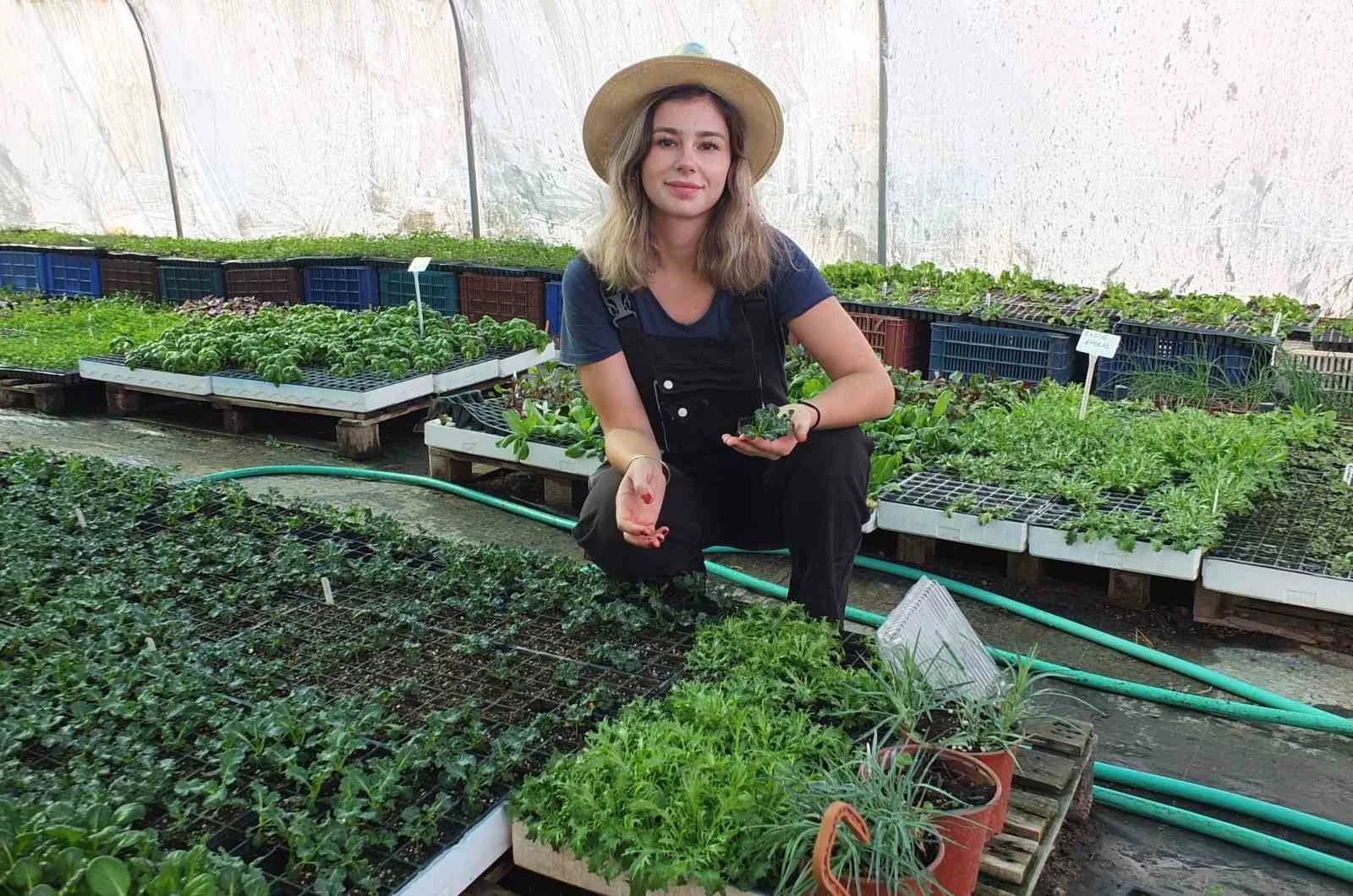 Balıkesirli kadın girişimci yurdun her tarafına fide gönderiyor