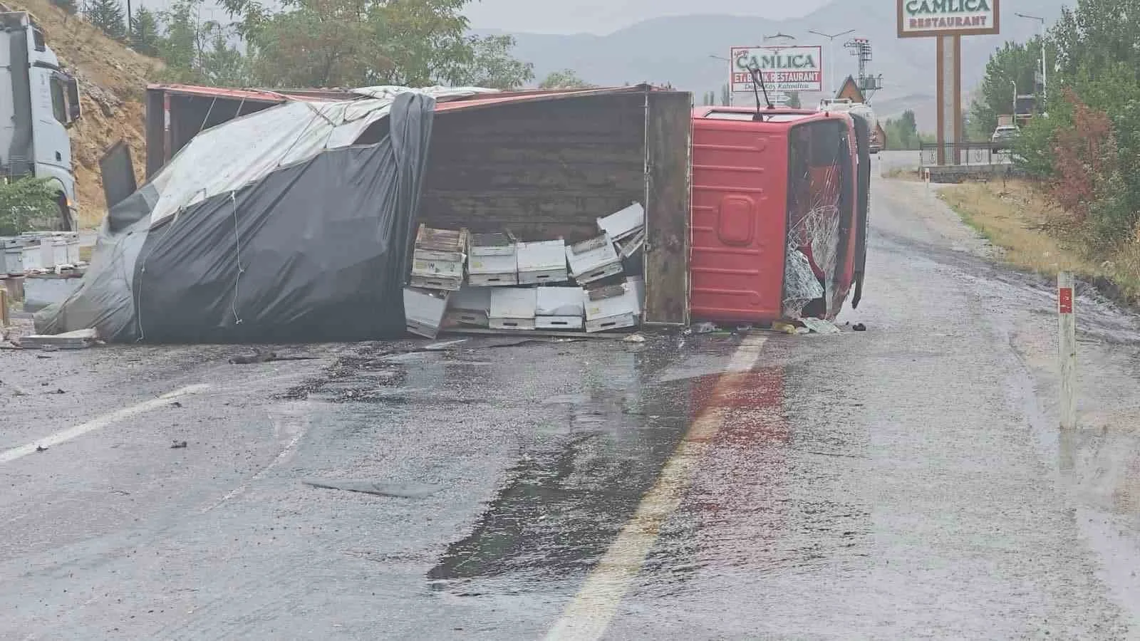 Malatya’da arı yüklü kamyon devrildi: 2 yaralı