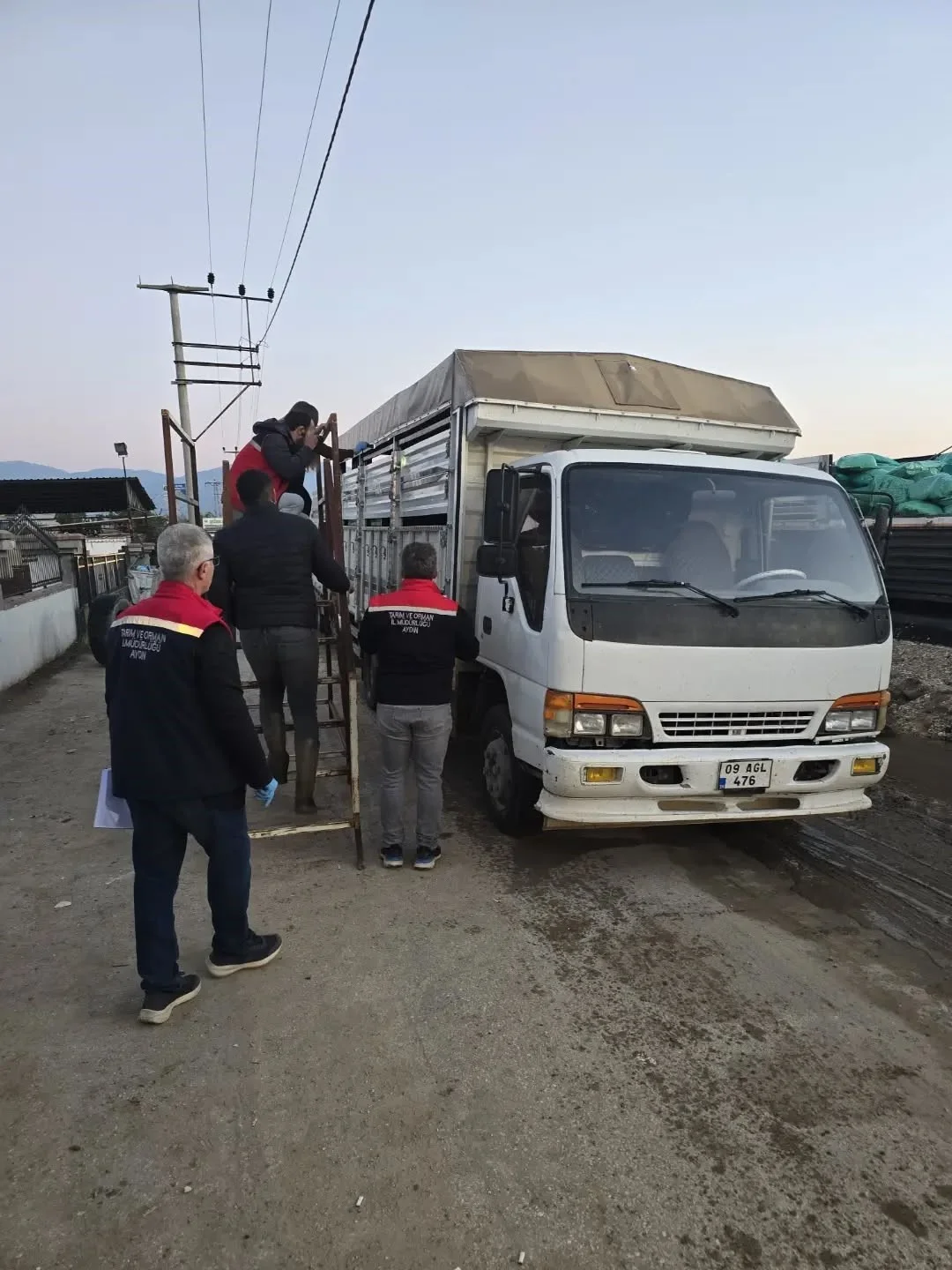 Aydın’da hayvan pazarında sıkı denetim