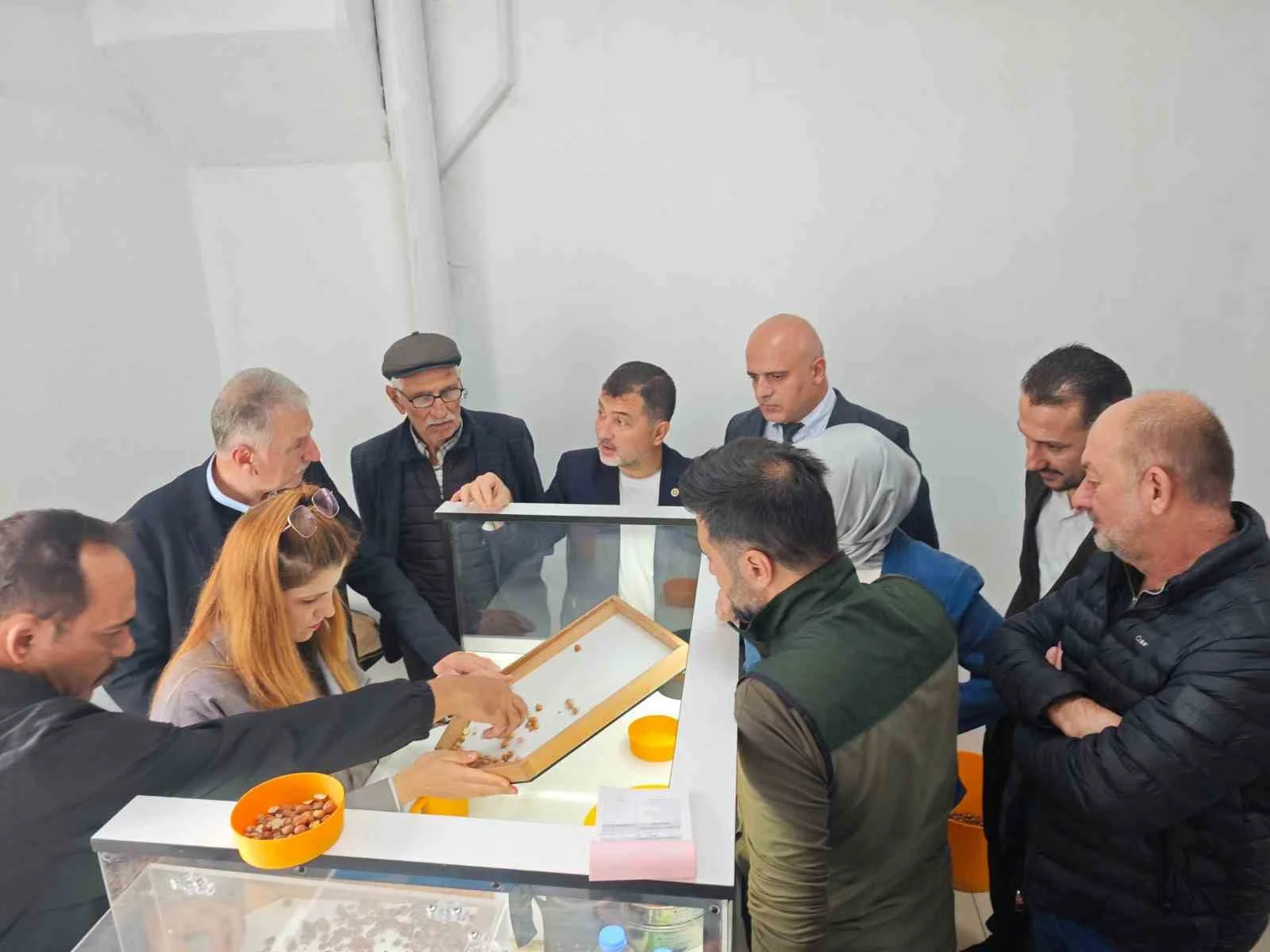 Fındık alım çalışmaları yerinde incelendi