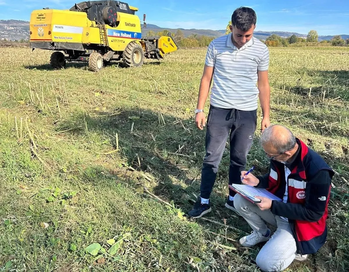 Simav’da ayçiçeği tarlalarında hasat kontrolleri yapıldı