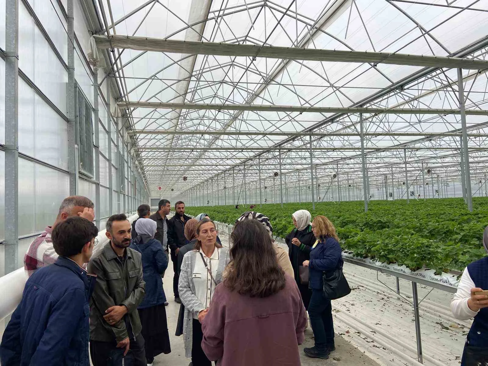 Samsun’da üreticiler modern tarımı yerinde öğreniyor