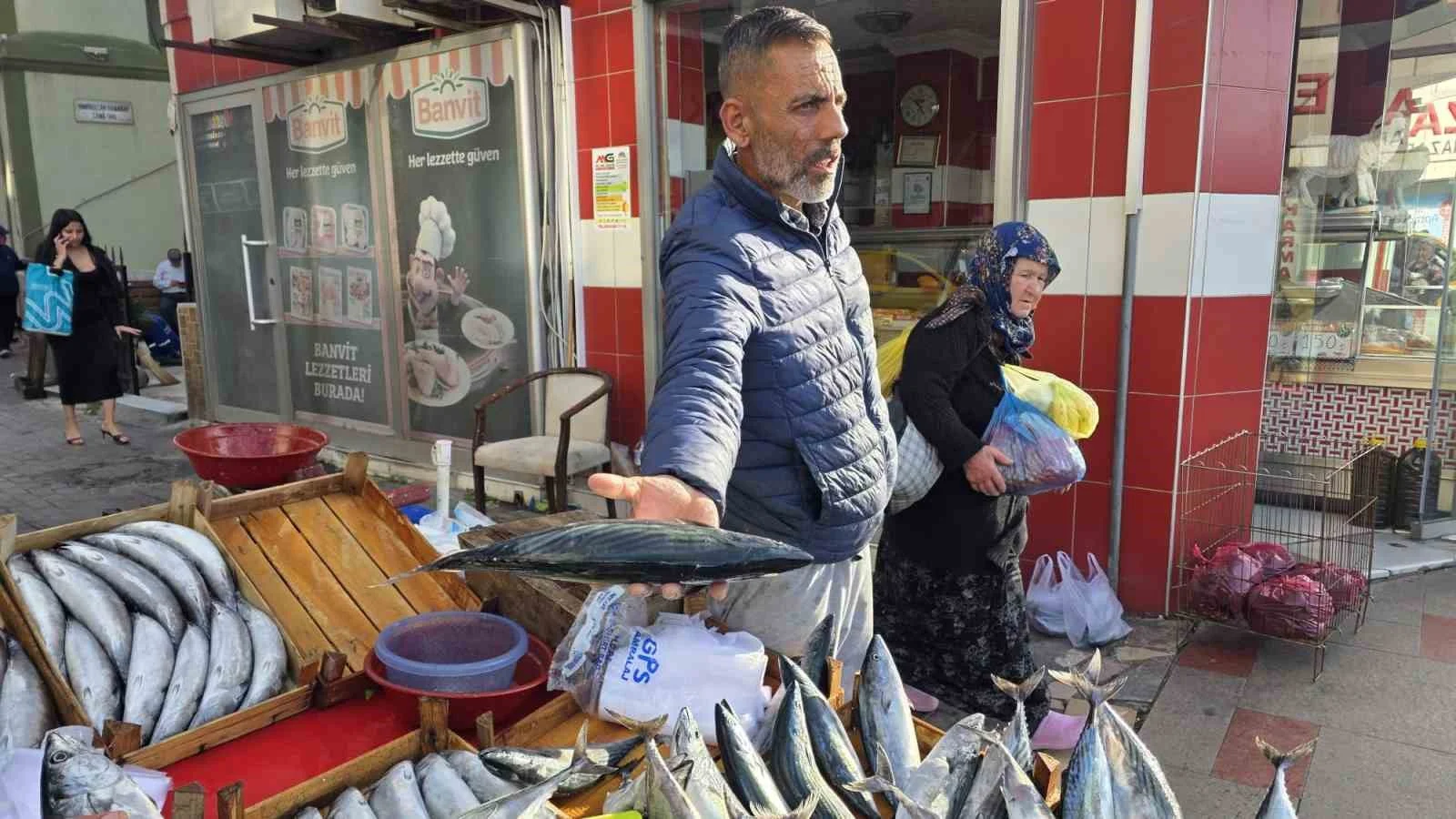 Bandırma’da palamut 100 liraya düştü