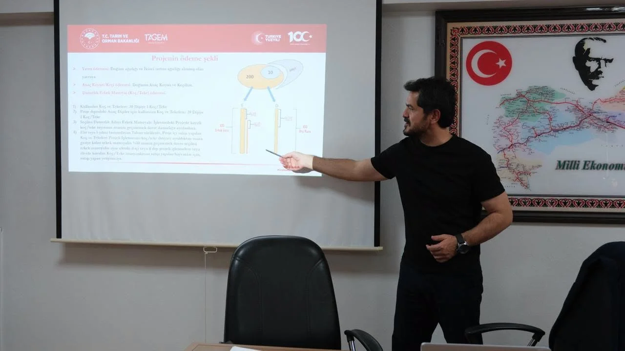 Erzincan’da 34 bin 840 koyun için ıslah çalışması yürütülüyor