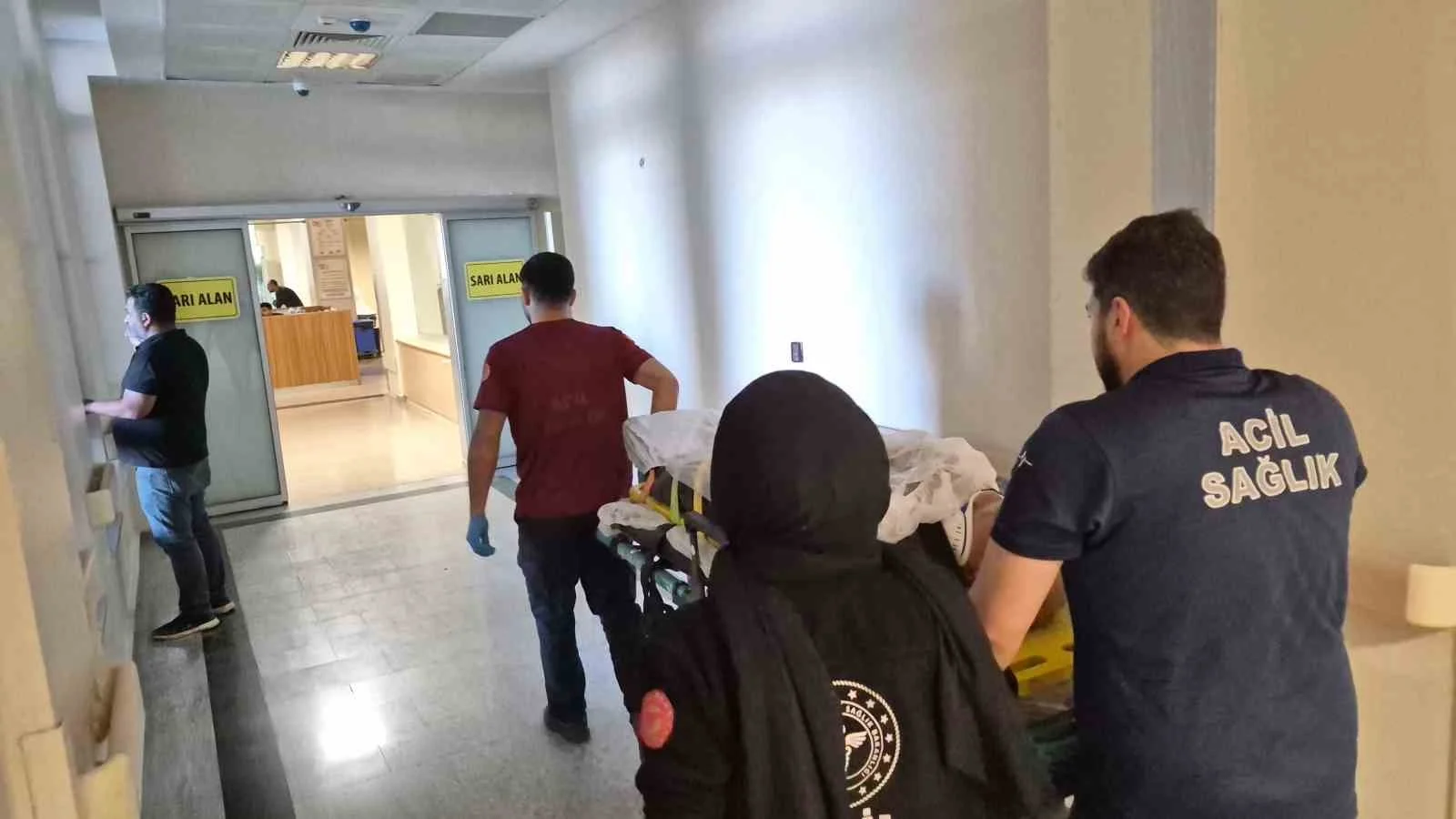 Ağaç keserken düşen yaşlı adam yaralandı