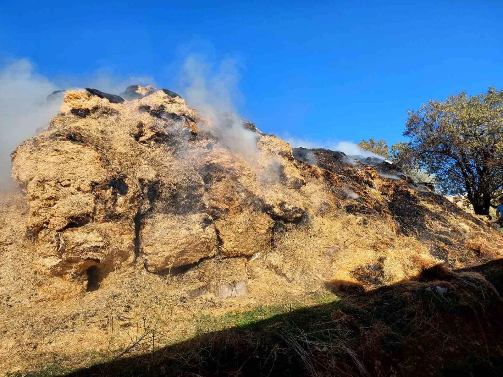 Isparta’da çıkan yangında bin 150 balya kül oldu