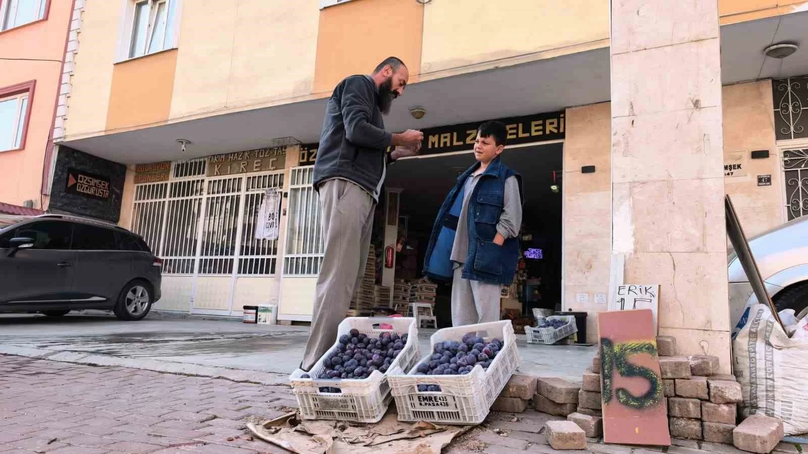Bursalı çiftçi erikleri dalında bırakmadı, çöpe atmadı fenomen oldu