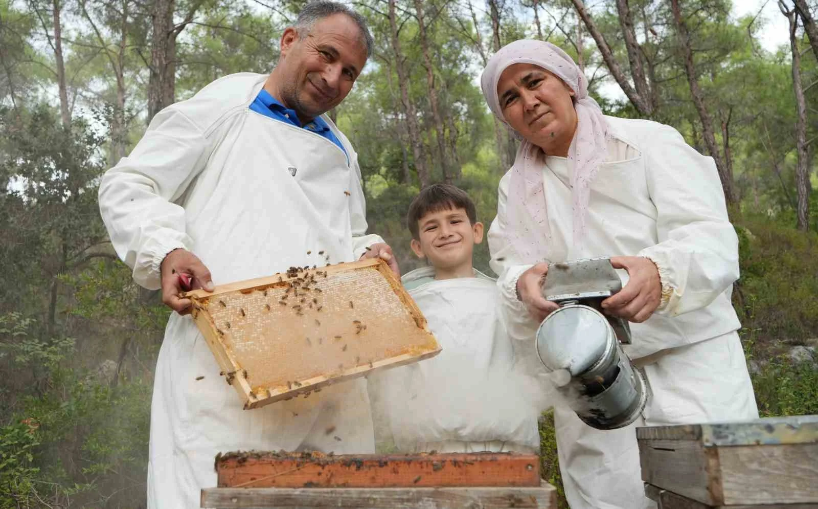 Dünyada ’Çam Balı’nın yüzde 90’ı Türkiye’de üretiliyor: Bereketli sağım başladı