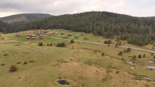 Kastamonu’da Cumhuriyet’in 103. yılına özel 103 meyve çekirdeği doğayla buluşturuldu