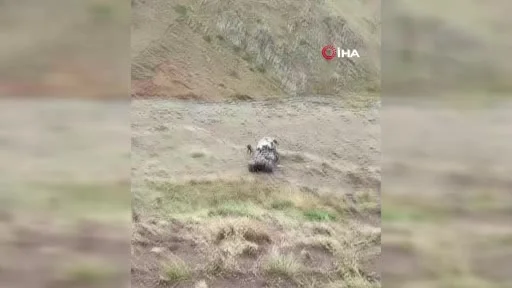 Erzurum’da Palandöken geçidi yine can aldı: Tır uçuruma yuvarlandı